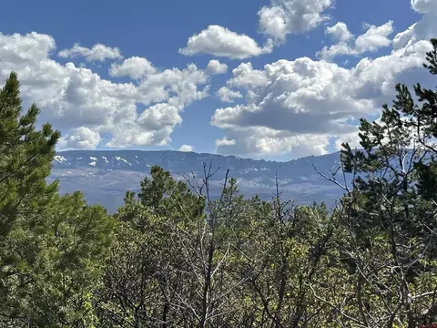 69 Pinon Road East, Ridgway, CO 81432