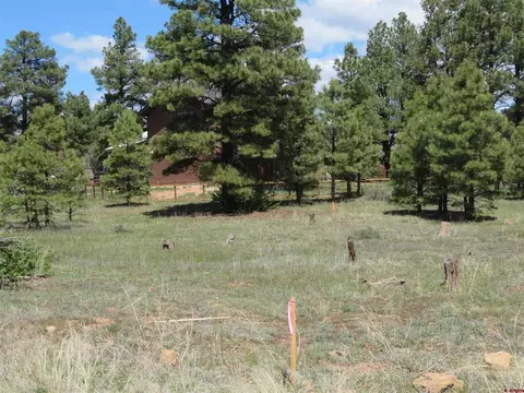 101 Convention Pl, Pagosa Springs, CO 81147