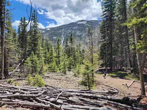842 Elk St, Jasper, CO 81144