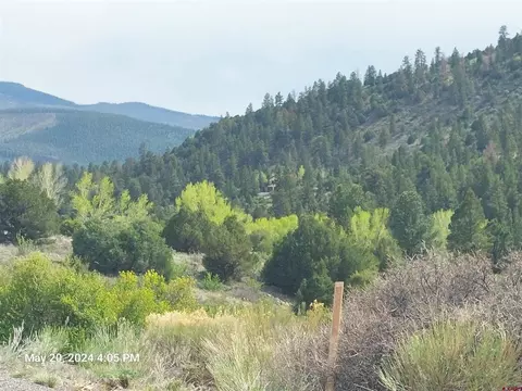 2166 Bear Creek Cir, South Fork, CO 81154