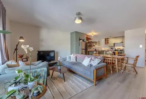 117 Seventh St #7, Crested Butte, CO 81224