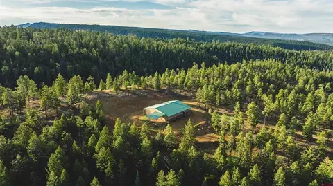 1112 S Blackbear Pl, Pagosa Springs, CO 81147