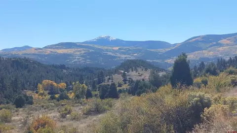 1416 Bear Creek Cir, South Fork, CO 81154