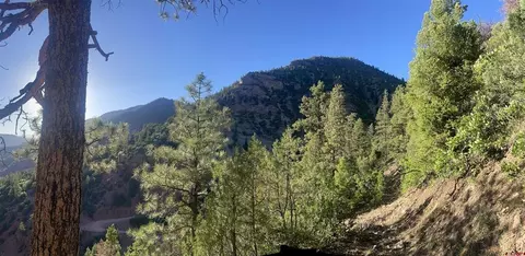 tbd 58p Rd, Placerville, CO 81430