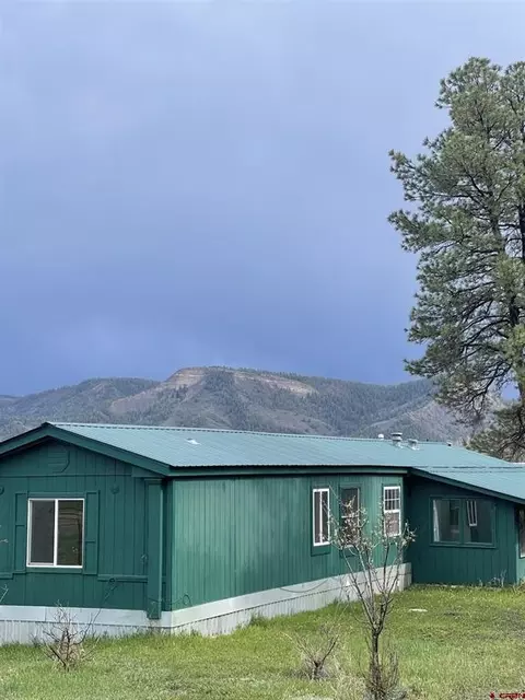 1006 Cactus Dr, Pagosa Springs, CO 81147