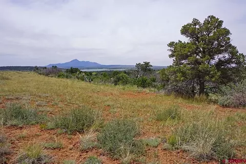 24997 Road X, Dolores, CO 81323