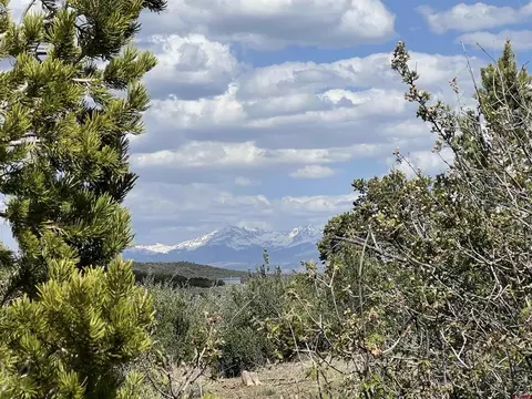 lot2 Road T5, Dolores, CO 81323