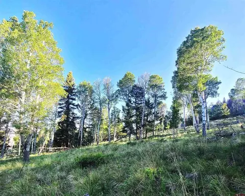 284 Kebler Trl, Powderhorn, CO 81243