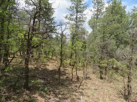 1446 Crooked Rd, Pagosa Springs, CO 81147