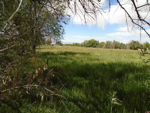 14172 Highway 65, Eckert, CO 81418