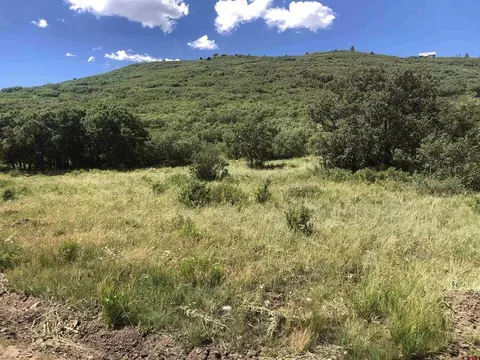 lot61 Road H4, Dolores, CO 81323