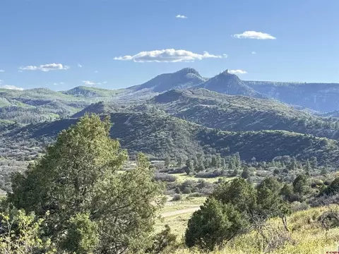 4625 Road 31 #LOT 20, Dolores, CO 81323