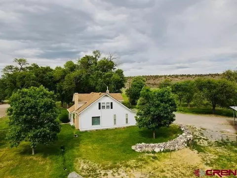 22514 Oxford Rd, Eckert, CO 81418