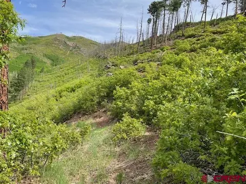23 Lakeview Drive, Bayfield, CO 81122