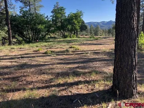 6116 Ivans Georges Ct, Pagosa Springs, CO 81147