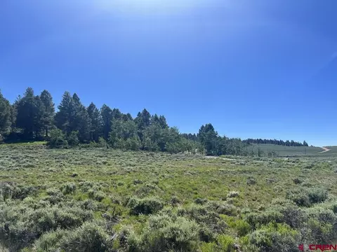 166 218 Blue Mesa Dr, Powderhorn, CO 81243
