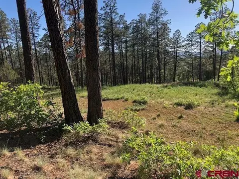 107111 Freds Ct, Pagosa Springs, CO 81147