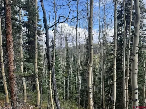 tbd Forest Service Road 554, Almont, CO 81210