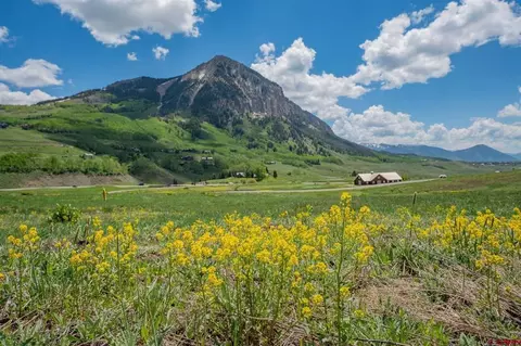 375 Saddle Ridge Ranch Rd, Crested Butte, CO 81224