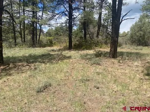 70 Kays Ct, Pagosa Springs, CO 81147