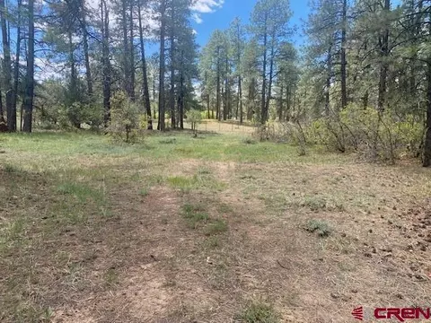 76 Kays Ct, Pagosa Springs, CO 81147