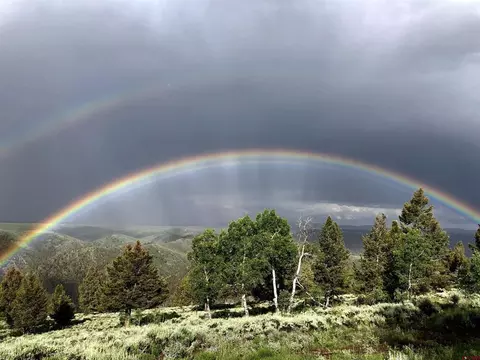 386 Mosquito Trl, Powderhorn, CO 81243