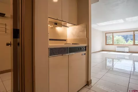 314 N Tamarron Dr #110, Durango, CO 81301