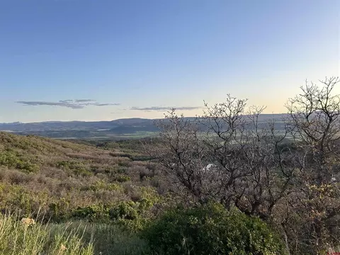 tbd Long Gulch Rd, Crawford, CO 81415