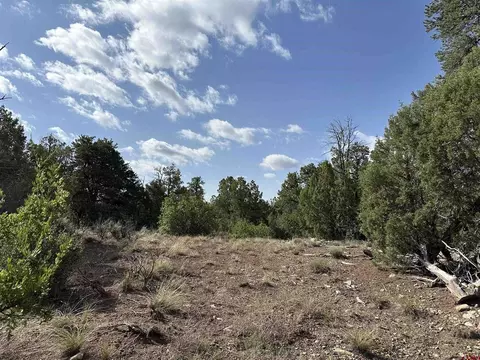 lot5 Green Shadows Rd, Durango, CO 81303