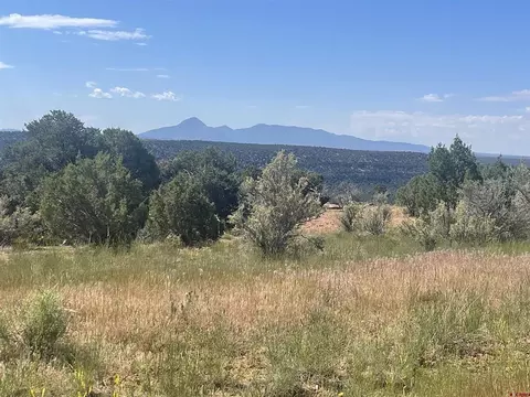 21300 Road 37, Dove Creek, CO 81324