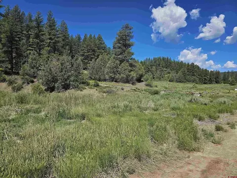 90 Badger Pl, Pagosa Springs, CO 81147