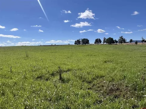 lot7 Road N2, Mancos, CO 81328