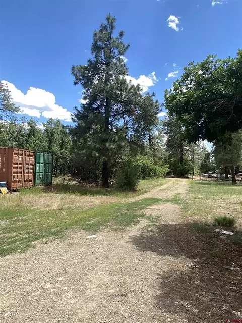23452379 2409 Crooked Rd, Pagosa Springs, CO 81147