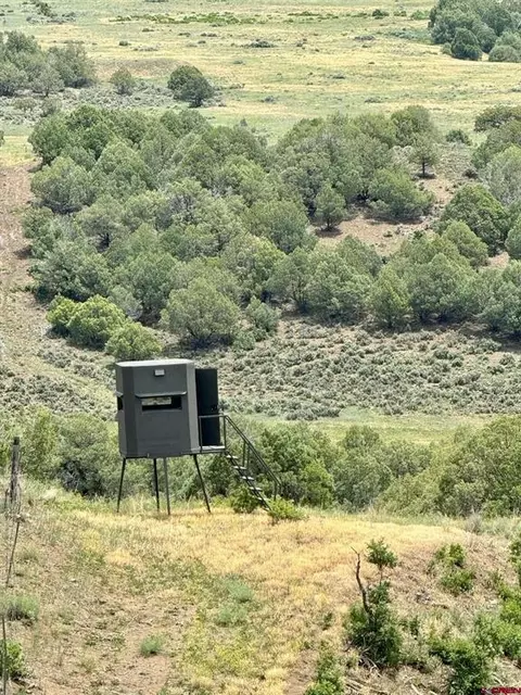 122 Forest Service Road 653 #VALLE SECO 80, Pagosa Springs, CO 81147
