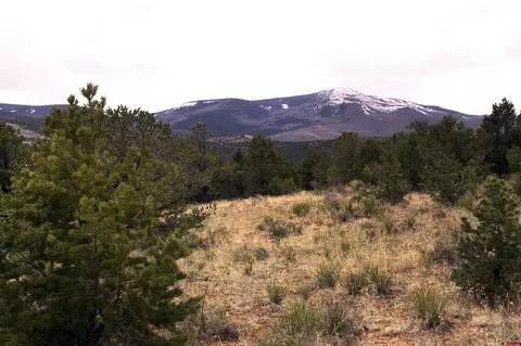 877 Vail Pass Rd, South Fork, CO 81154