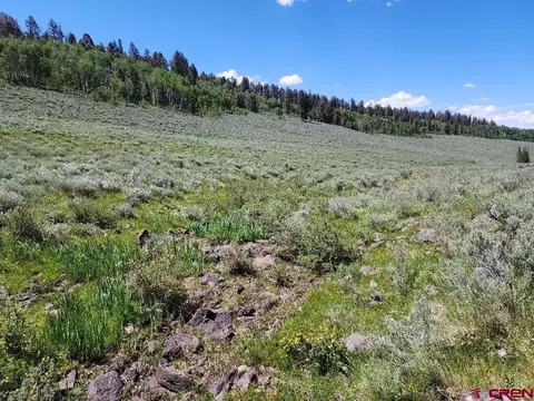 tbd Buck Run Rd, Powderhorn, CO 81243