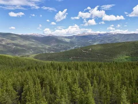 tbd Forest Service Road 698, Pitkin, CO 81239