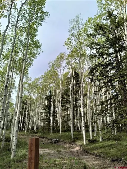 260 Crest Dr, Cimarron, CO 81220
