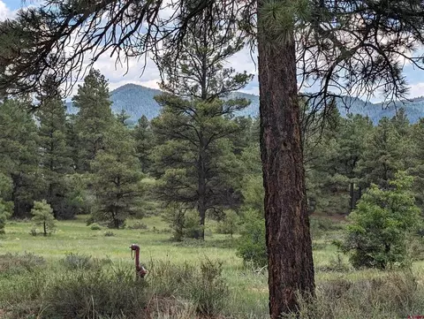 111 Tower Pl, Pagosa Springs, CO 81147
