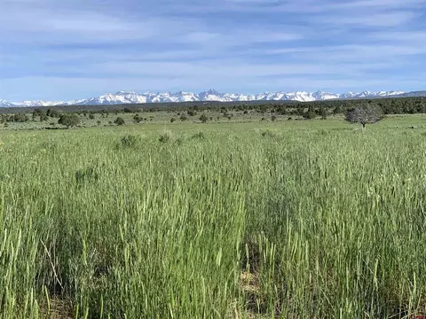 37 Acres Tres Coyotes Trl, Montrose, CO 81403