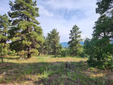 474 Prospect Blvd, Pagosa Springs, CO 81147