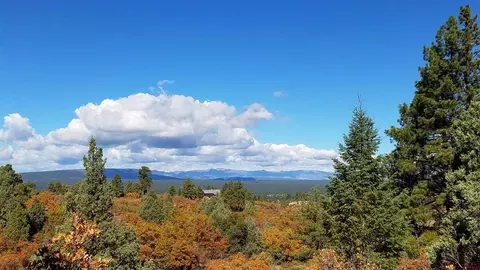 195 Cameron Pl, Pagosa Springs, CO 81147