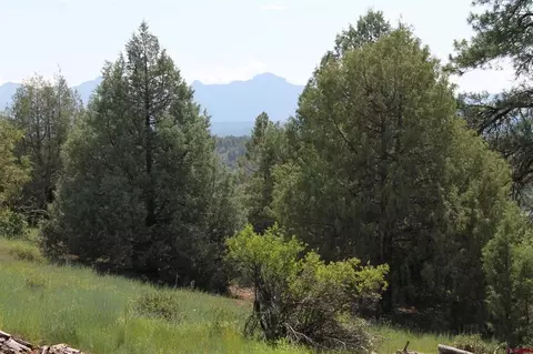 600 Engleman Pl, Pagosa Springs, CO 81147
