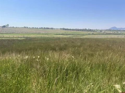 tbd Highway 491, Lewis, CO 81327