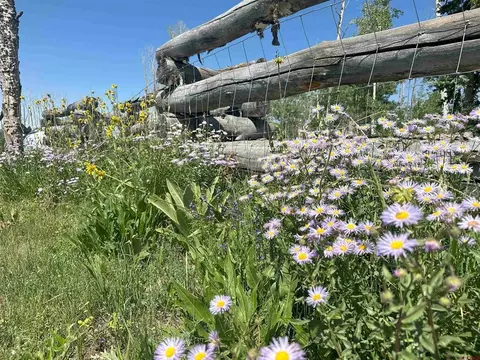 Exterior - 19958 Fs 327 Loop, Mancos, CO 81328 photo 6 of 6