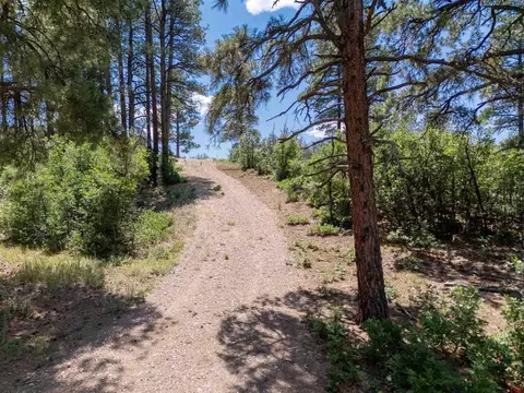 89 Ute Pl, Pagosa Springs, CO 81147