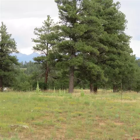 489469449 Sam Houston, Pagosa Springs, CO 81147