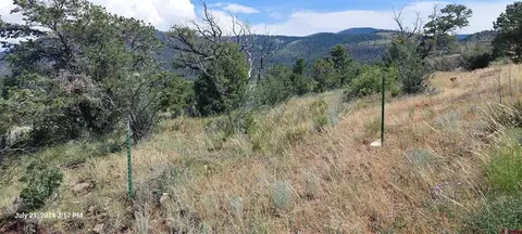 346 Shirley Dr, South Fork, CO 81154