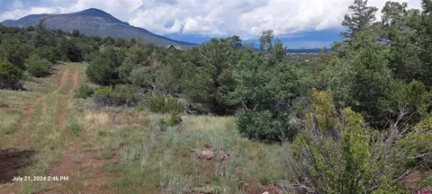 74 Aspen Rd, South Fork, CO 81154