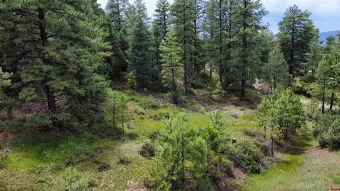 1150 Beucler Ln, Pagosa Springs, CO 81147
